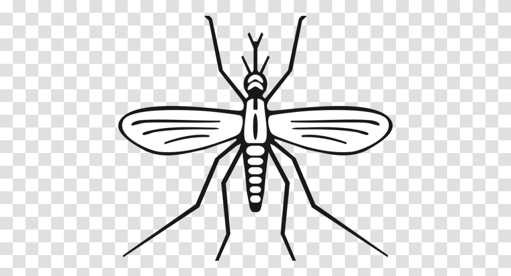 Mosquito Black And White Clipart, Lamp, Insect, Invertebrate, Animal Transparent Png