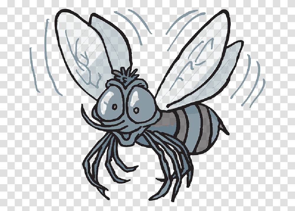 Mosquito Cartoon Bee Flying Insect Buzzing Fly Cartoon Mexican Fruit Fly, Animal, Wasp, Invertebrate, Hornet Transparent Png