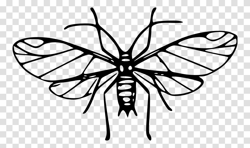 Mosquito Clip Art Images, Gray, World Of Warcraft Transparent Png