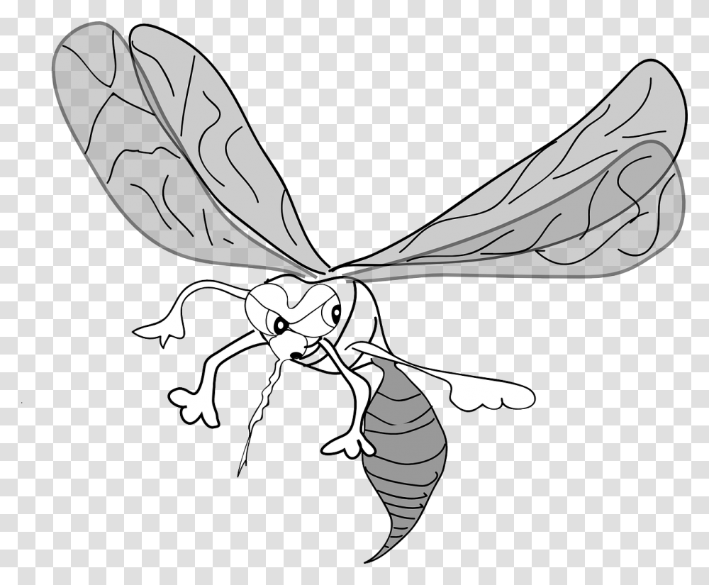 Mosquito Clip Art, Wasp, Bee, Insect, Invertebrate Transparent Png