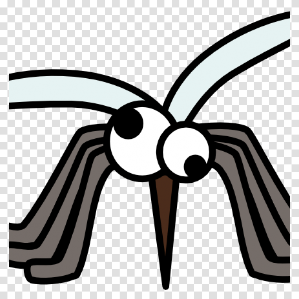 Mosquito Clipart Clip Art Images Panda Free History, Animal, Invertebrate, Insect, Spider Transparent Png