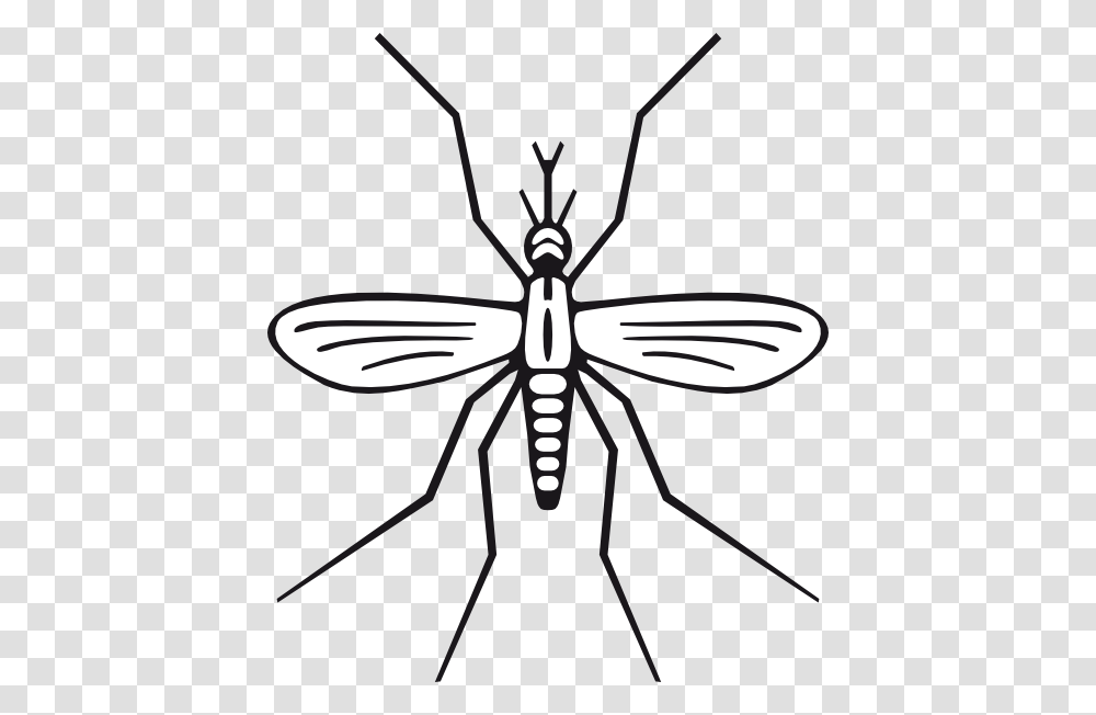 Mosquito Clipart, Insect, Invertebrate, Animal, Spider Transparent Png