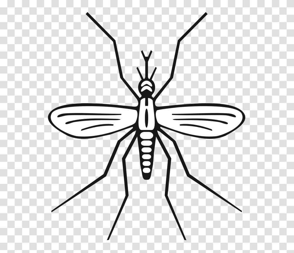 Mosquito Clipart, Lamp, Animal, Insect, Invertebrate Transparent Png