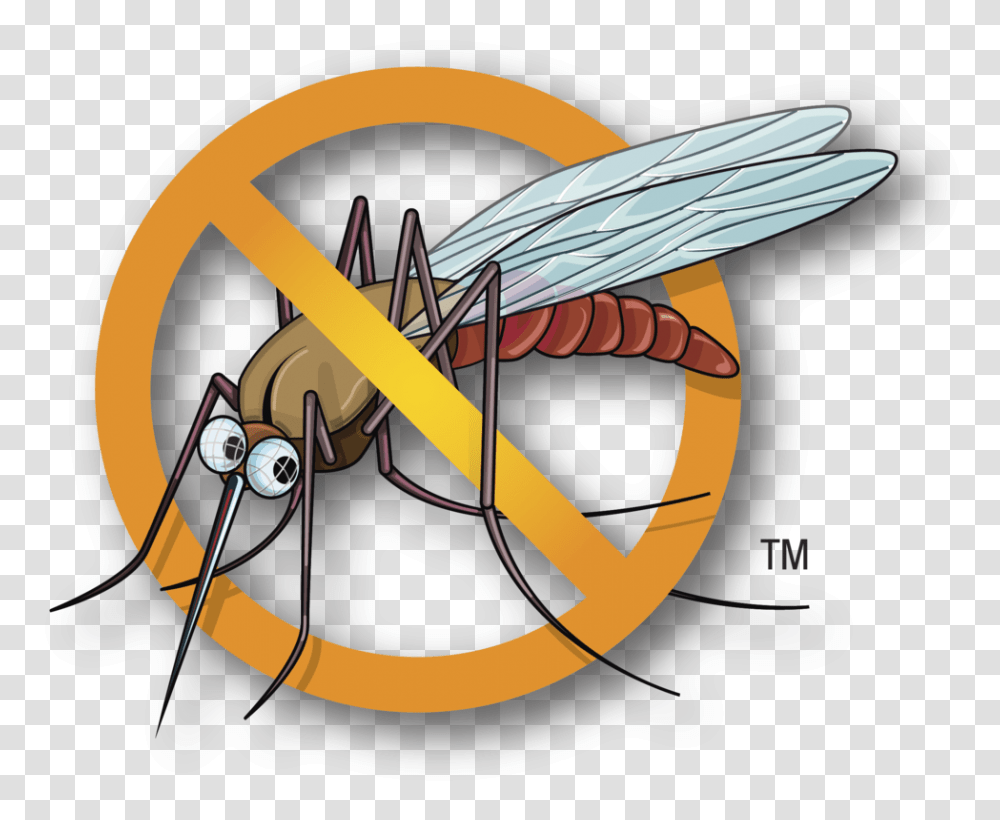 Mosquito Clipart Malaria Mosquito Dengue Mosquito Clipart, Insect, Invertebrate, Animal, Wasp Transparent Png