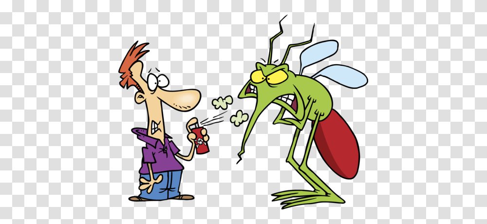 Mosquito Clipart Mosquito Bite, Insect, Invertebrate, Animal, Grasshopper Transparent Png
