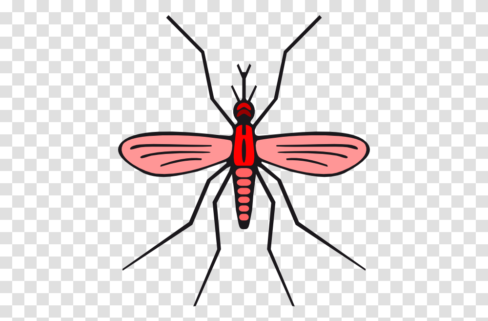 Mosquito Clipart Mosquito Red, Invertebrate, Animal, Insect, Firefly Transparent Png