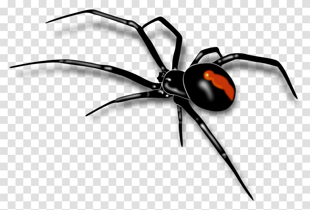 Mosquito Clipart Realistic Spider Background, Invertebrate, Animal, Black Widow, Insect Transparent Png