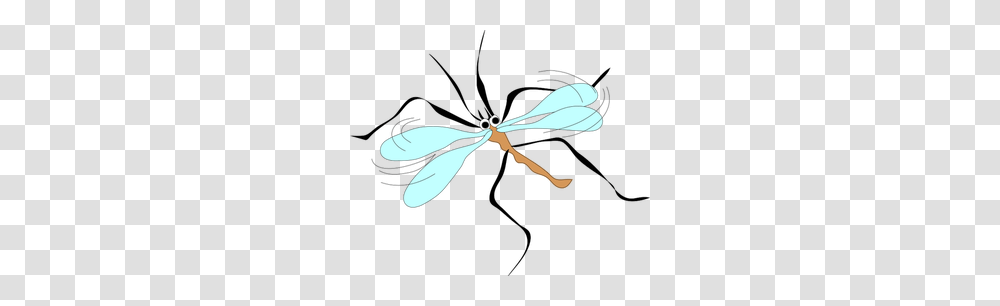 Mosquito Free Clipart, Animal, Invertebrate, Insect, Dragonfly Transparent Png