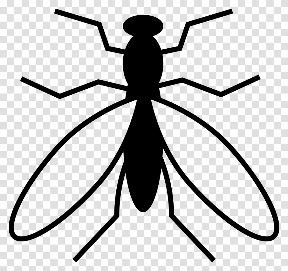 Mosquito From Top View Mosquito Vector Art, Animal, Lamp, Invertebrate, Insect Transparent Png