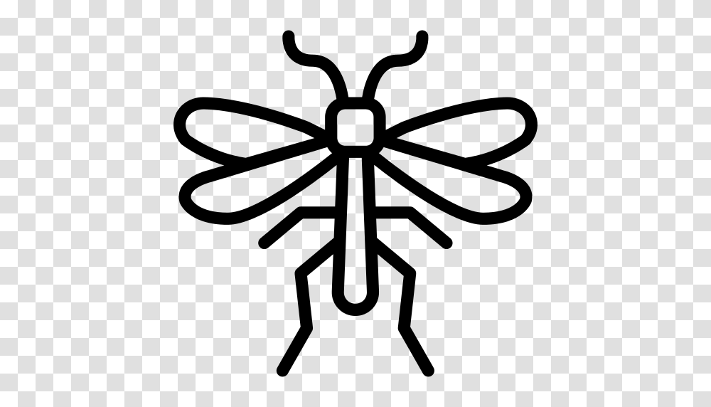 Mosquito Icon, Gray, World Of Warcraft Transparent Png