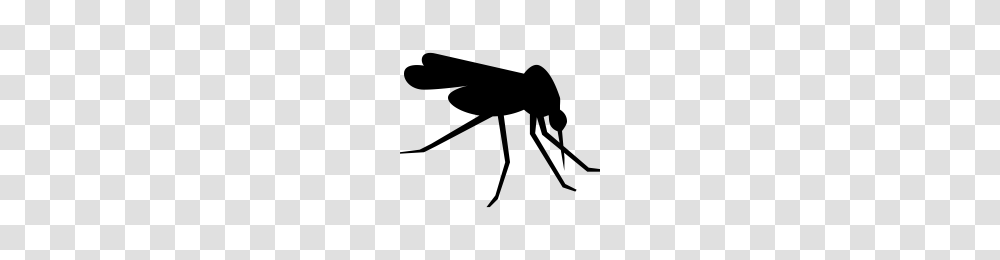Mosquito Images Free Download, Gray, World Of Warcraft Transparent Png