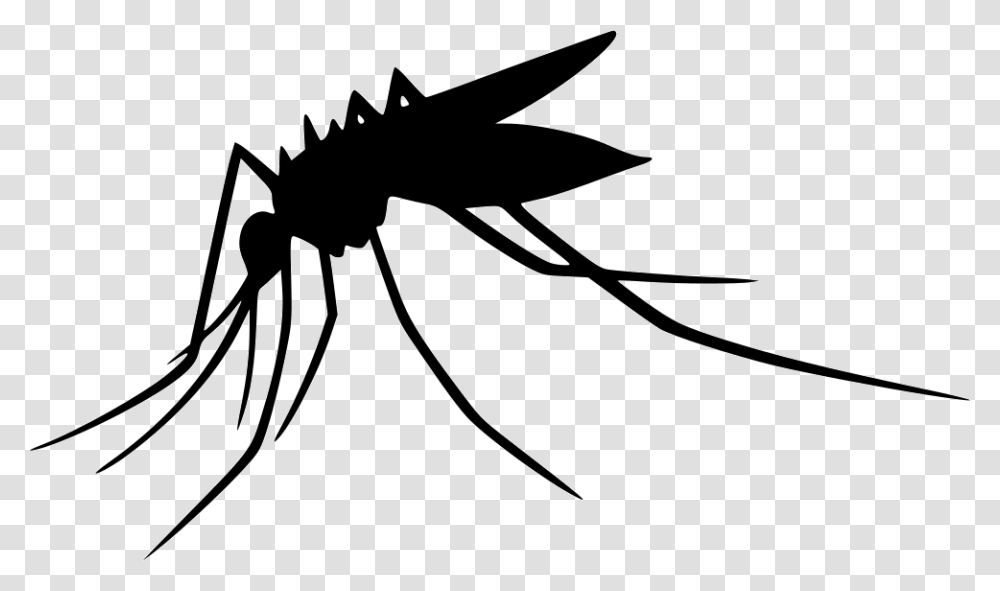 Mosquito Images Free Download, Insect, Invertebrate, Animal, Stencil Transparent Png