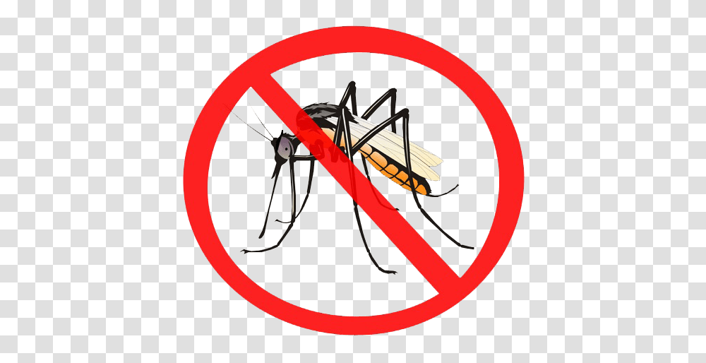 Mosquito Images, Insect, Invertebrate, Animal Transparent Png