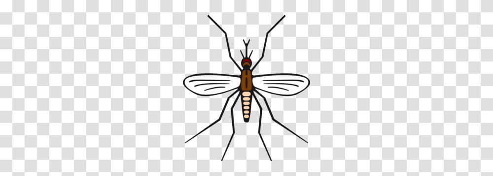 Mosquito In Brown Color Clip Art, Insect, Invertebrate, Animal, Firefly Transparent Png