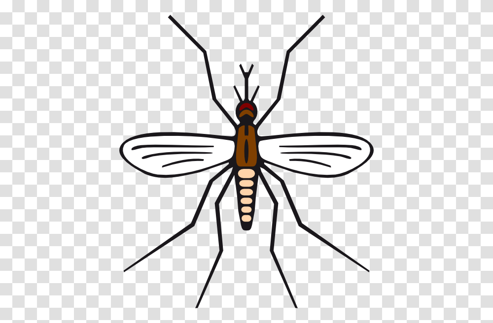 Mosquito In Brown Color Clip Art, Insect, Invertebrate, Animal Transparent Png