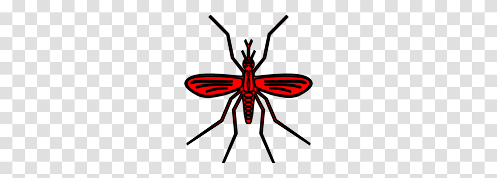 Mosquito In Red Color Clip Art, Insect, Invertebrate, Animal, Firefly Transparent Png