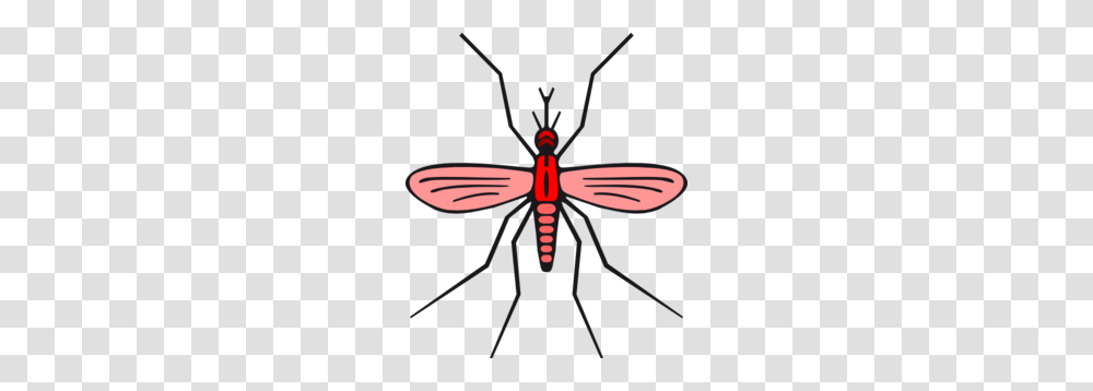 Mosquito In Red Color Version Clip Art, Invertebrate, Animal, Insect, Firefly Transparent Png
