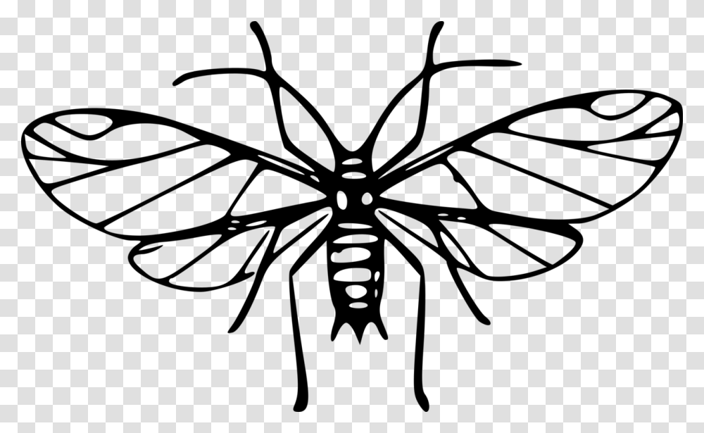 Mosquito Insect Download Computer Line Art, Gray, World Of Warcraft Transparent Png