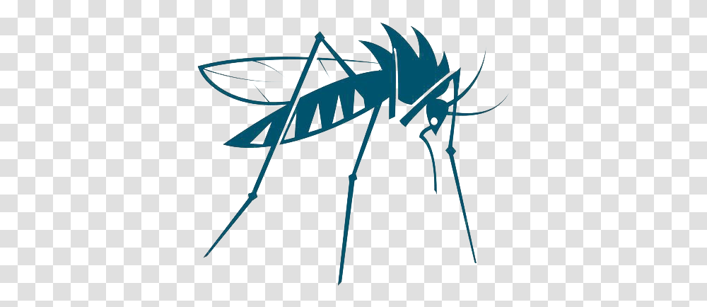 Mosquito Insect Vector Bed Bug Mosquito Vector, Grasshopper, Invertebrate, Animal, Grasshoper Transparent Png