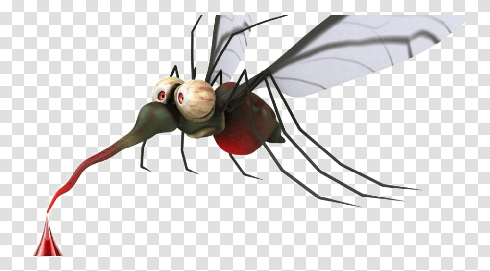 Mosquito Mosquito, Bow, Insect, Invertebrate, Animal Transparent Png