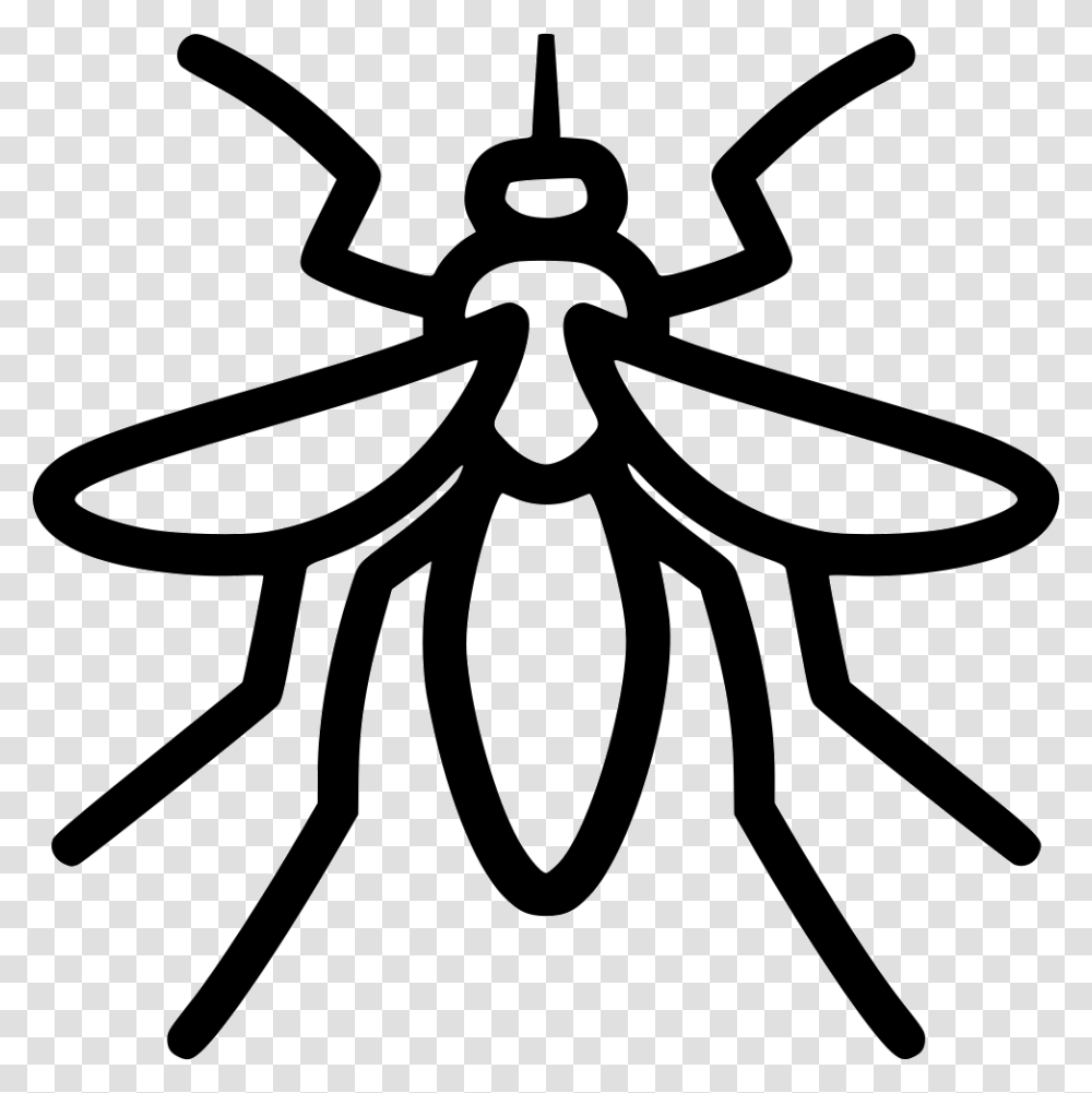 Mosquito Mosquito Icon, Animal, Insect, Invertebrate, Stencil Transparent Png