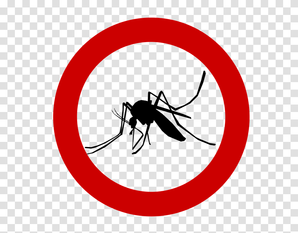 Mosquito Pest Control, Moon, Outdoors, Nature Transparent Png