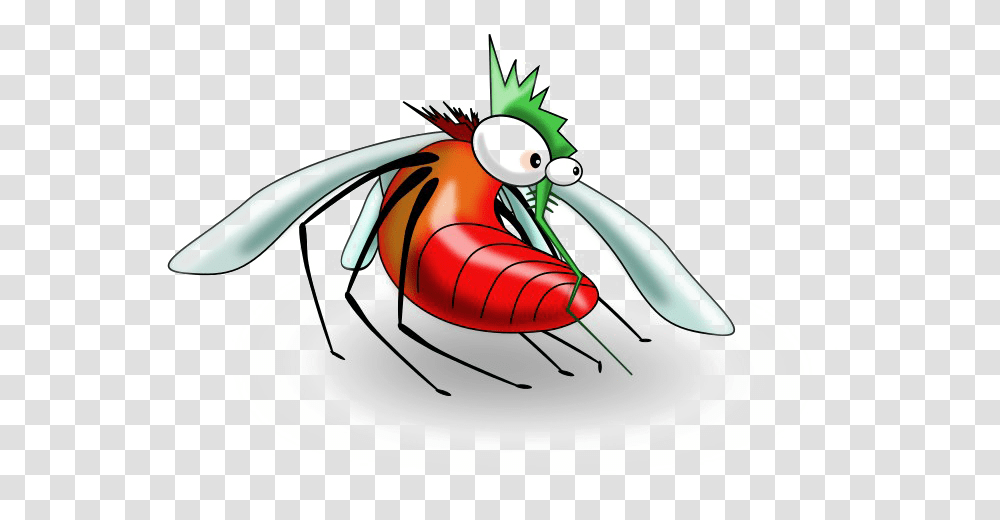 Mosquito Pic, Wasp, Bee, Insect, Invertebrate Transparent Png