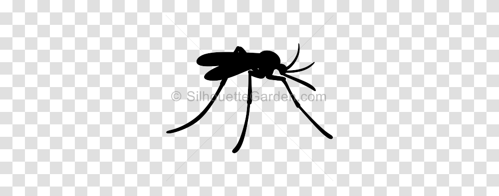 Mosquito Silhouette Clip Art Download Free Versions Of The Image, Bow, Animal, Insect, Invertebrate Transparent Png