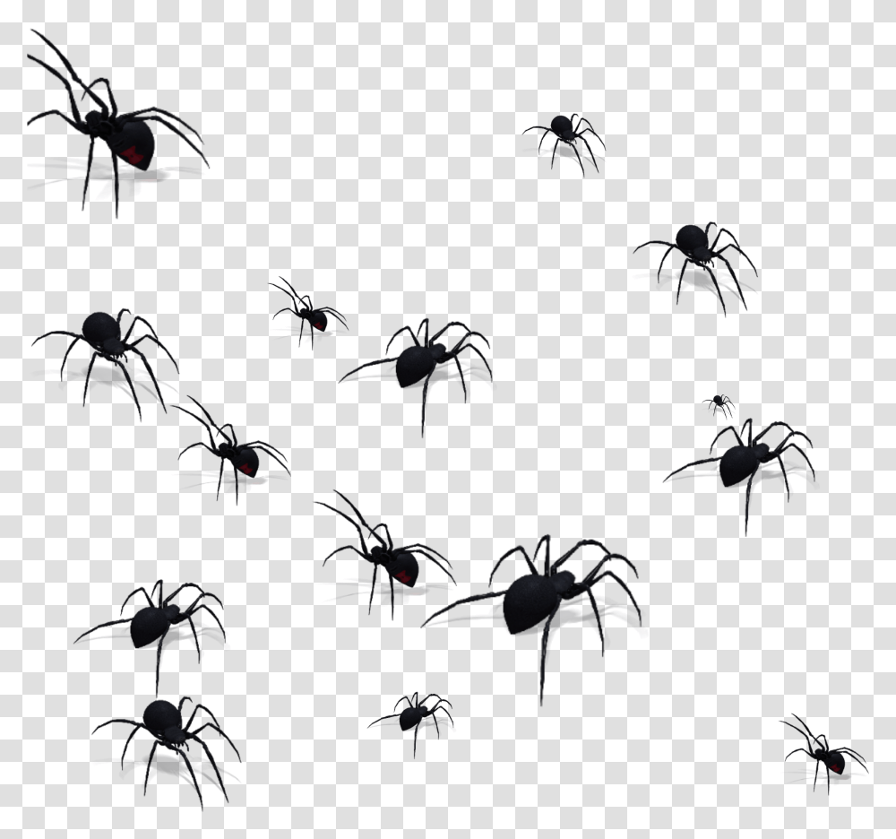 Mosquito Silhouette Lots Of Spiders, Nature, Outdoors, Night, Fireworks Transparent Png
