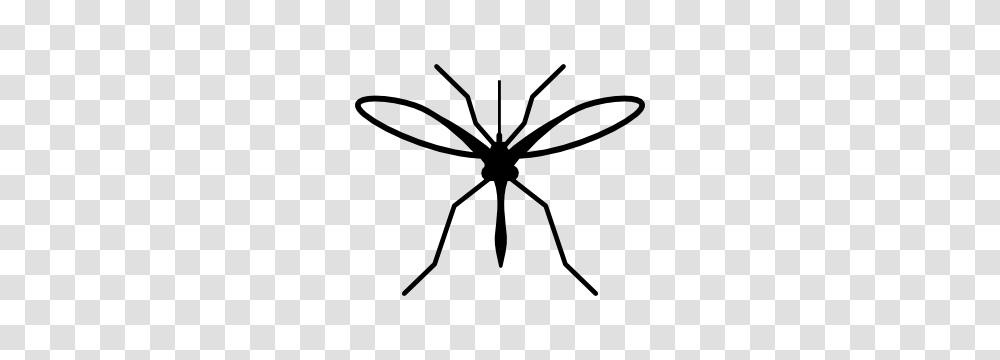 Mosquito Silhouette Sticker, Animal, Invertebrate, Insect, Spider Transparent Png