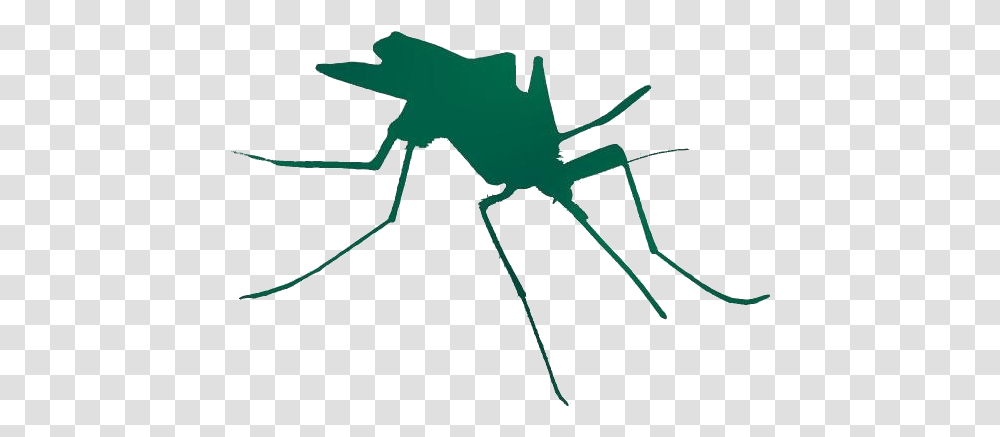 Mosquito Simple Silhouette Silhouette, Invertebrate, Animal, Insect, Spider Transparent Png