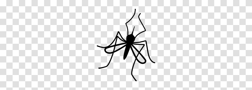 Mosquito Stickers Mosquito Decals, Insect, Invertebrate, Animal, Spider Transparent Png