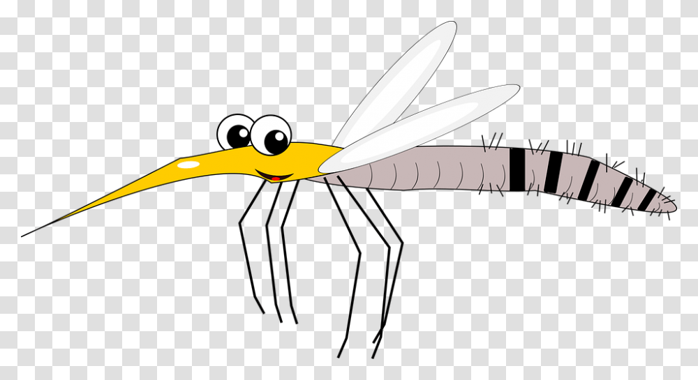 Mosquito Virus Blood Bloodsucker Zika Malaria Muggen, Animal, Insect, Invertebrate, Weapon Transparent Png