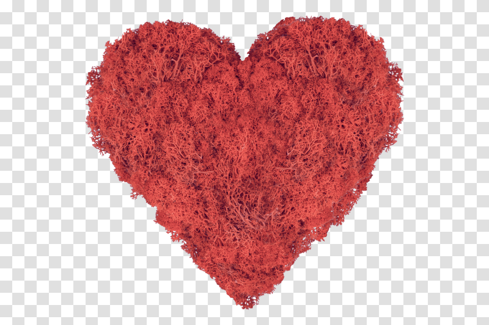 Moss Art Heart Red, Rug, Pineapple, Fruit, Plant Transparent Png