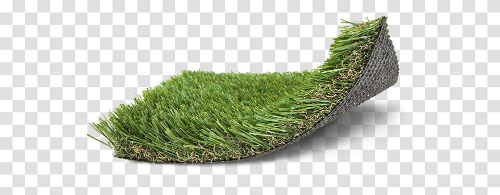 Moss, Grass, Plant, Snake, Reptile Transparent Png
