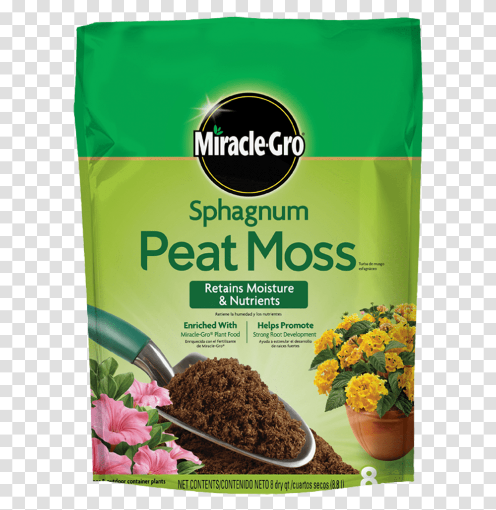 Moss, Plant, Food, Flower, Jar Transparent Png