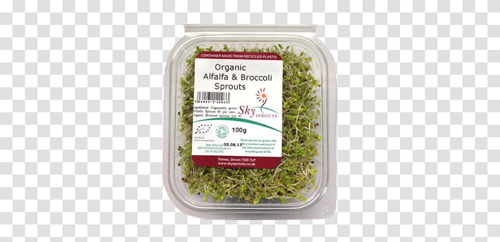 Moss, Plant, Sprout, Bean Sprout, Produce Transparent Png