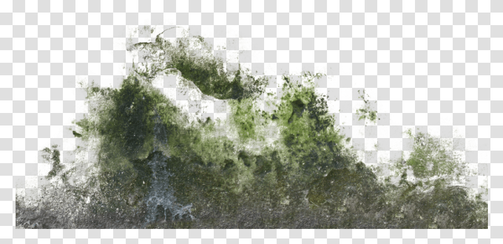 Moss Texture Wall Moss Texture, Plant, Algae, Rock, Crystal Transparent Png