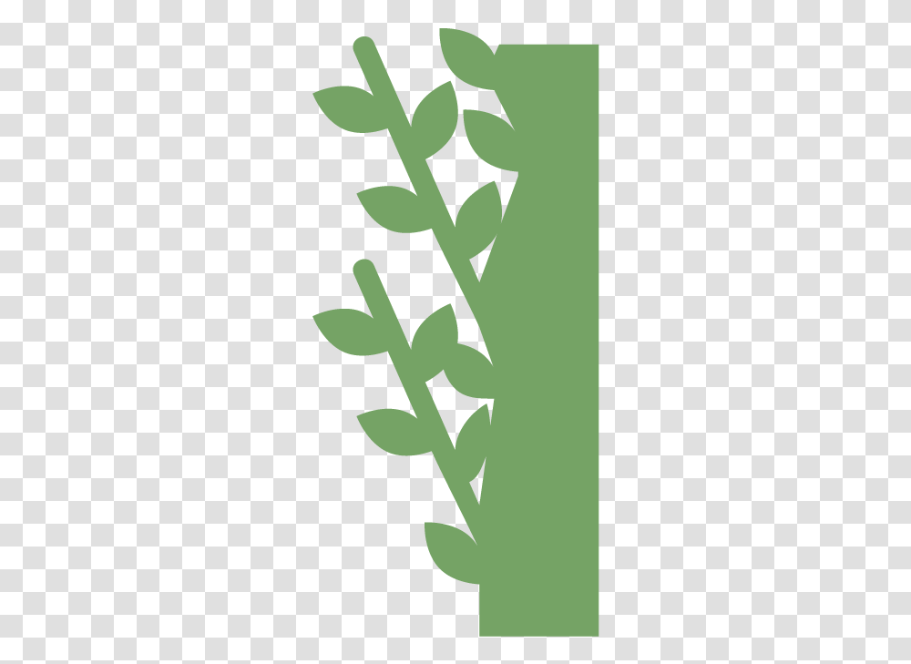 Moss Wall Living Wall Live Wall Green Wall Plant Floral Design, Leaf, Stencil Transparent Png