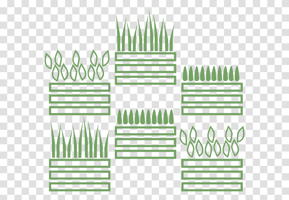Moss Wall Living Wall Live Wall Green Wall Plant Picket Fence, Maze, Labyrinth, Mansion, House Transparent Png