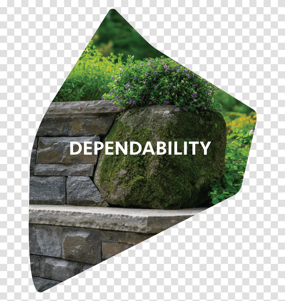 Mossy Rock Stone Wall, Plant, Slate, Tree, Walkway Transparent Png