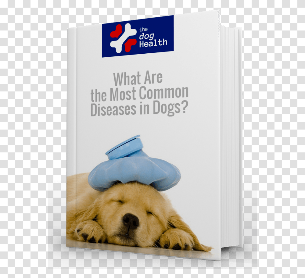 Most Common Diseases In Dogs Tom And Jerry Sick, Pet, Canine, Animal, Mammal Transparent Png