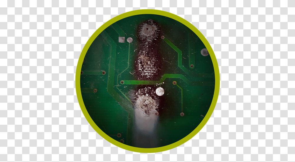 Most Common Reasons Circuit Boards Fail Bali Island School Logo, Animal, Sea Life, Mammal, Seahorse Transparent Png