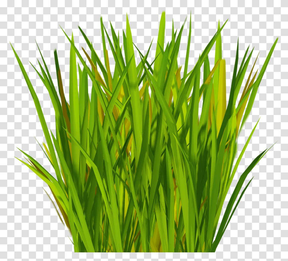 Most Realistic Artificial Grass V Grass Blade Texture, Plant, Lawn, Agropyron, Vegetation Transparent Png