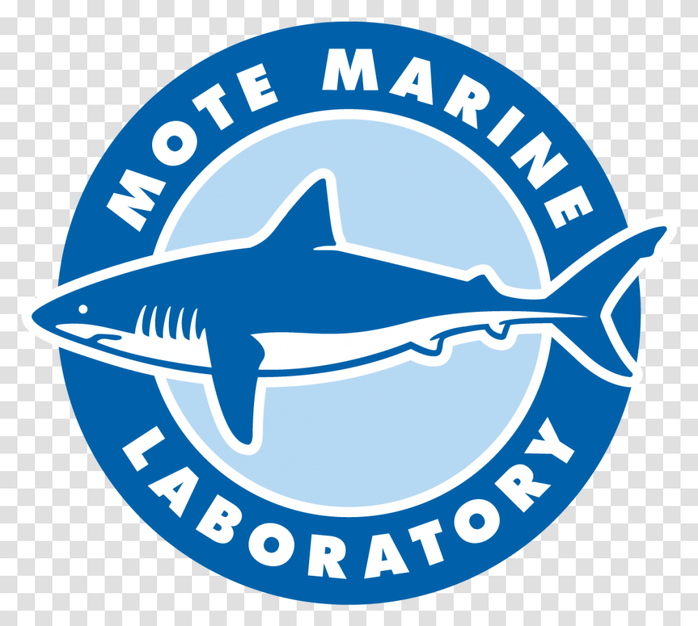 Mote Marine Laboratory Amp Aquarium, Fish, Animal, Sea Life, Label Transparent Png