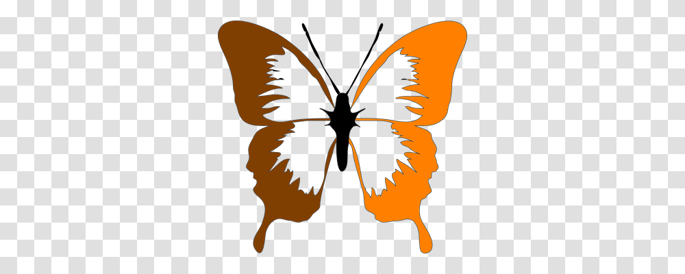 Moth Animals, Pattern, Ornament, Insect Transparent Png