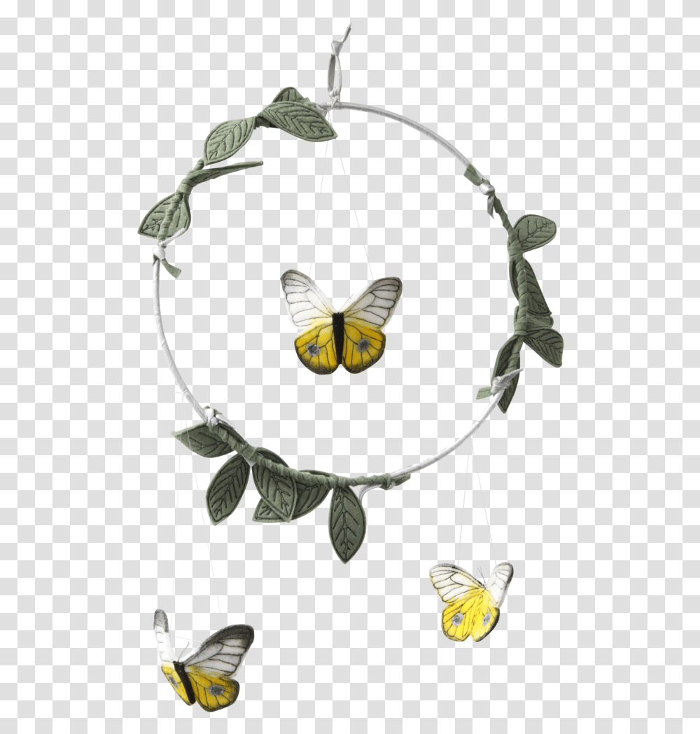 Moth, Accessories, Accessory, Bow Transparent Png