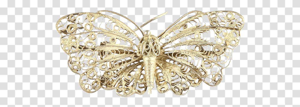 Moth, Animal, Invertebrate, Insect, Butterfly Transparent Png