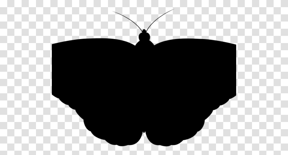 Moth Clipart, Gray, World Of Warcraft Transparent Png