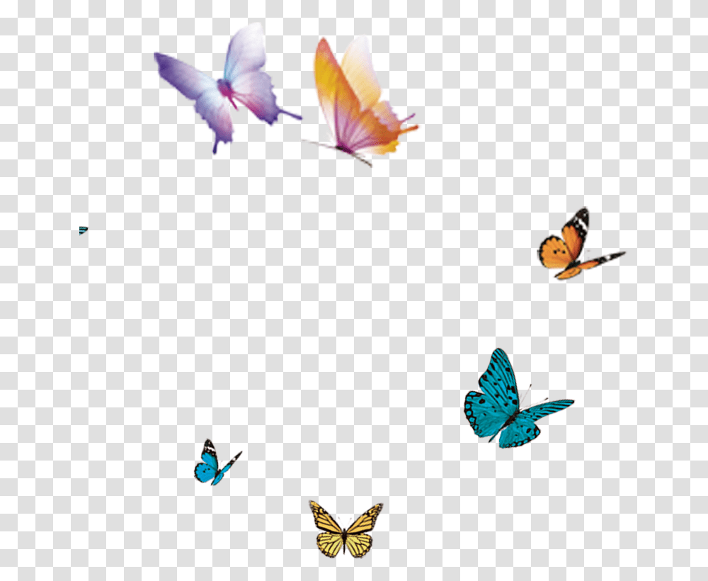 Moth Flying Butterfly In Flight, Plant, Flower, Bird, Animal Transparent Png